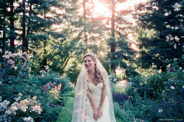 CineStill 800Tungsten (135-36) - Image 5