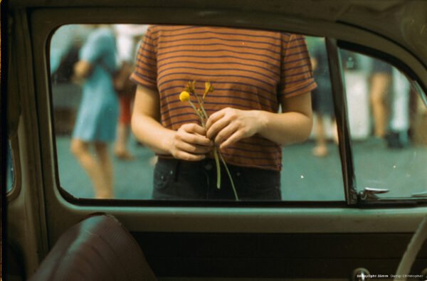 CineStill 50Daylight (135-36) - Image 2