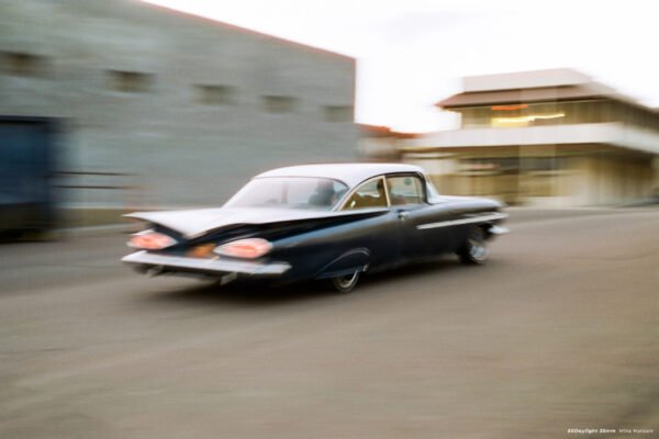 CineStill 50Daylight (135-36) - Image 4