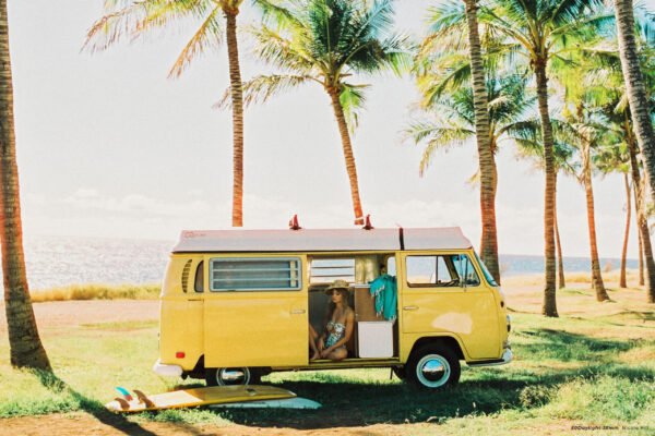 CineStill 50Daylight (135-36) - Image 5