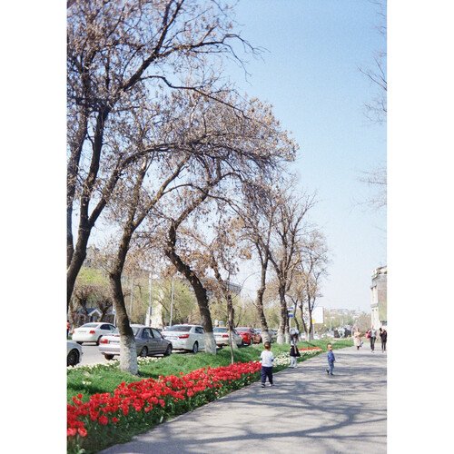 Kodak Ektar H35N Half Frame Film Camera (BT21 Edition) - Image 20