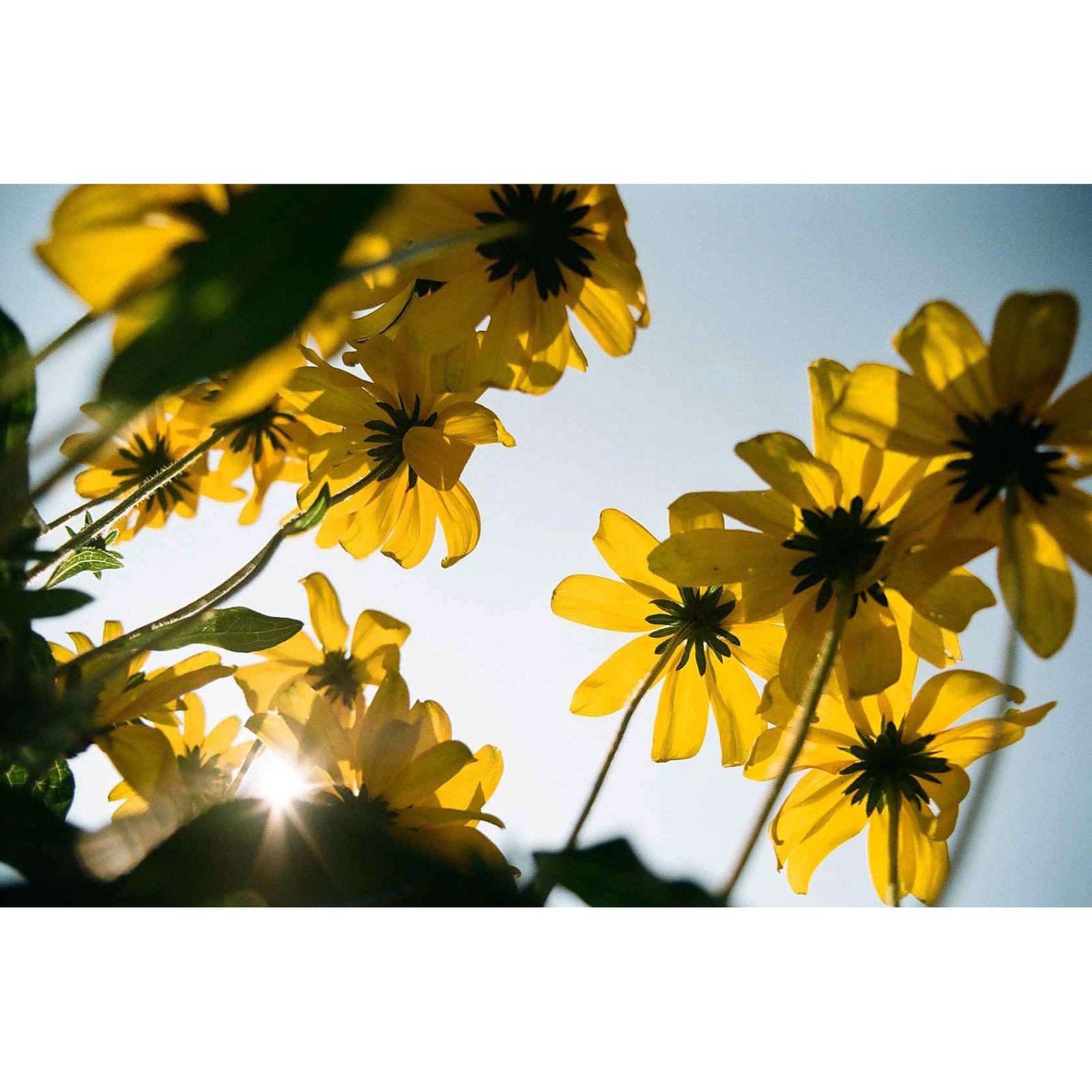 Kodak Kodacolor 100 (135-36) - Image 3