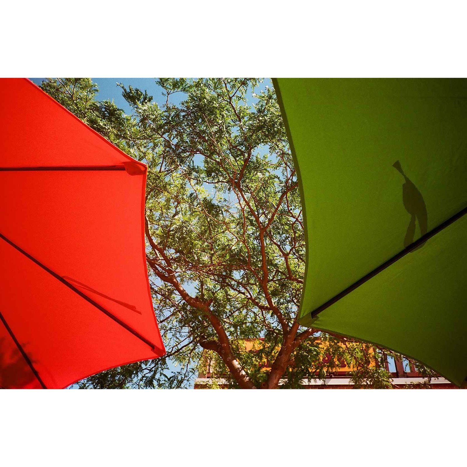 Kodak Gold 200 (135-36) - Image 2